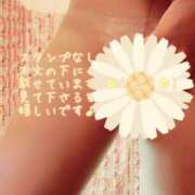 ヒメ日記 2024/12/14 13:14 投稿 なほ 錦糸町人妻花壇