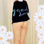 ヒメ日記 2025/02/22 11:23 投稿 なほ 錦糸町人妻花壇