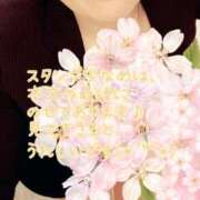 ヒメ日記 2025/04/02 08:30 投稿 なほ 錦糸町人妻花壇