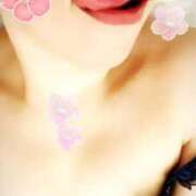 ヒメ日記 2025/04/07 13:22 投稿 なほ 錦糸町人妻花壇