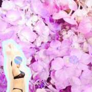 ヒメ日記 2025/05/10 21:31 投稿 なほ 錦糸町人妻花壇