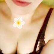 ヒメ日記 2025/08/10 09:24 投稿 なほ 錦糸町人妻花壇