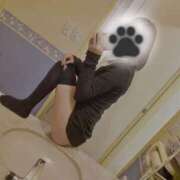 ヒメ日記 2025/02/13 12:02 投稿 ここあ Lady Agent