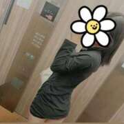 ヒメ日記 2025/09/18 19:02 投稿 ここあ Lady Agent