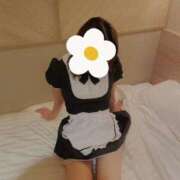 ヒメ日記 2025/10/15 19:02 投稿 ここあ Lady Agent