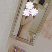 ヒメ日記 2025/10/23 19:02 投稿 ここあ Lady Agent