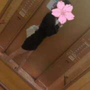 ヒメ日記 2026/05/25 18:03 投稿 ここあ Lady Agent