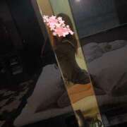 ヒメ日記 2026/06/15 18:31 投稿 ここあ Lady Agent