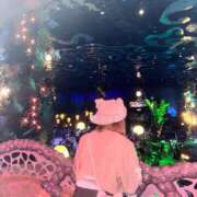 ヒメ日記 2025/02/20 01:00 投稿 ルナ バニーコレクション新潟店