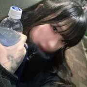 ルナ マイルCS 予想 バニーコレクション新潟店