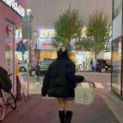 ルナ いまほしいものこれやろ バニーコレクション新潟店