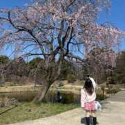 ヒメ日記 2026/03/25 14:08 投稿 ルナ バニーコレクション新潟店