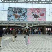 ルナ 大阪杯 結果 バニーコレクション新潟店