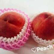 京本　みこと Peach♡ メイドin西川口（埼玉ハレ系）