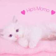 ヒメ日記 2025/03/02 19:44 投稿 もも 美熟女倶楽部Hip's 春日部店