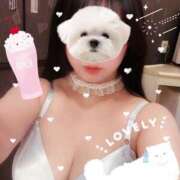 ヒメ日記 2025/03/18 15:35 投稿 もも 美熟女倶楽部Hip's 春日部店