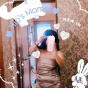 ヒメ日記 2025/04/16 13:04 投稿 もも 美熟女倶楽部Hip's 春日部店