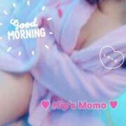 ヒメ日記 2025/05/08 08:37 投稿 もも 美熟女倶楽部Hip's 春日部店