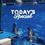 ヒメ日記 2025/06/09 12:24 投稿 もも 美熟女倶楽部Hip's 春日部店