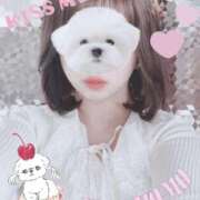 ヒメ日記 2026/01/22 15:12 投稿 もも 美熟女倶楽部Hip's 春日部店