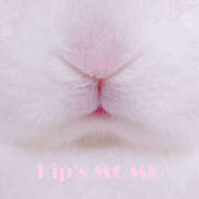 ヒメ日記 2026/02/15 20:42 投稿 もも 美熟女倶楽部Hip's 春日部店