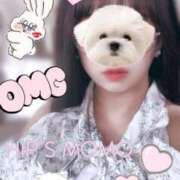 ヒメ日記 2026/04/01 19:48 投稿 もも 美熟女倶楽部Hip's 春日部店