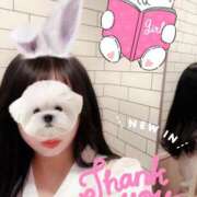 ヒメ日記 2026/04/10 08:32 投稿 もも 美熟女倶楽部Hip's 春日部店