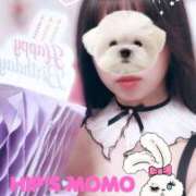 ヒメ日記 2026/04/24 08:52 投稿 もも 美熟女倶楽部Hip's 春日部店