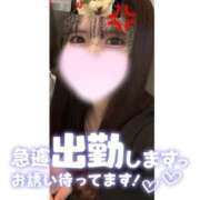 ヒメ日記 2025/09/18 16:55 投稿 ゆりは バイオレンス