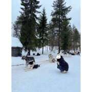 ヒメ日記 2026/03/25 07:05 投稿 ゆりは バイオレンス