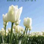 ヒメ日記 2025/01/26 04:04 投稿 前原 丸妻 西船橋店