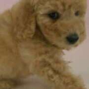 ヒメ日記 2025/02/02 17:38 投稿 前原 丸妻 西船橋店