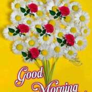 ヒメ日記 2025/02/10 07:33 投稿 前原 丸妻 西船橋店