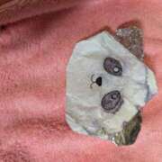 ヒメ日記 2025/02/10 09:59 投稿 前原 丸妻 西船橋店