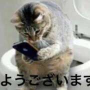 ヒメ日記 2025/02/20 14:01 投稿 前原 丸妻 西船橋店