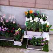 ヒメ日記 2025/02/27 23:17 投稿 前原 丸妻 西船橋店