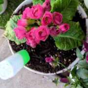 ヒメ日記 2025/03/07 20:50 投稿 前原 丸妻 西船橋店