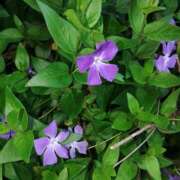 ヒメ日記 2025/04/18 10:49 投稿 前原 丸妻 西船橋店