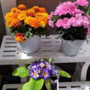 ヒメ日記 2025/04/22 19:39 投稿 前原 丸妻 西船橋店