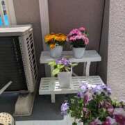 ヒメ日記 2025/04/24 11:35 投稿 前原 丸妻 西船橋店