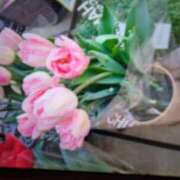 ヒメ日記 2025/04/27 22:11 投稿 前原 丸妻 西船橋店