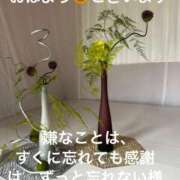 ヒメ日記 2025/05/06 06:10 投稿 前原 丸妻 西船橋店