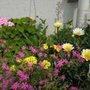 ヒメ日記 2025/05/12 19:15 投稿 前原 丸妻 西船橋店