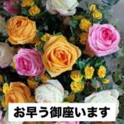 ヒメ日記 2025/10/16 12:56 投稿 前原 丸妻 西船橋店