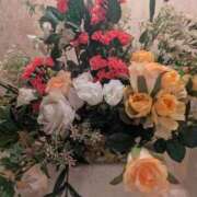 ヒメ日記 2026/03/29 00:00 投稿 前原 丸妻 西船橋店