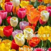 ヒメ日記 2026/04/18 18:25 投稿 前原 丸妻 西船橋店