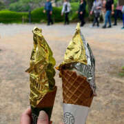 ヒメ日記 2024/12/31 10:59 投稿 さえこ 迷宮の人妻 古河・久喜発