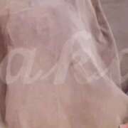 ヒメ日記 2025/04/22 19:29 投稿 和歌（わか） エスペランサ新館