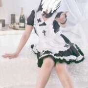 ヒメ日記 2025/05/20 09:09 投稿 和歌（わか） エスペランサ新館