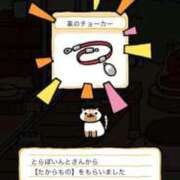 ヒメ日記 2025/10/08 11:19 投稿 和歌（わか） エスペランサ新館